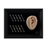 10pcs tattooable ear display for industrial barbells